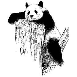 Dessin à colorier: Panda (Animaux) #12625 - Coloriages à Imprimer Gratuits