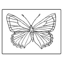 Dessin à colorier: Papillon (Animaux) #15663 - Coloriages à Imprimer Gratuits