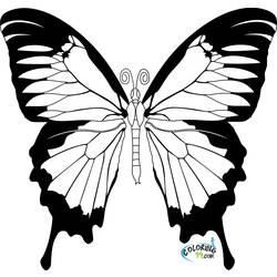 Dessin à colorier: Papillon (Animaux) #15664 - Coloriages à Imprimer Gratuits