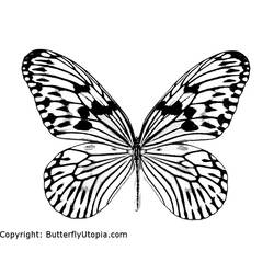 Dessin à colorier: Papillon (Animaux) #15665 - Coloriages à Imprimer Gratuits