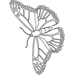 Dessin à colorier: Papillon (Animaux) #15773 - Coloriages à Imprimer Gratuits