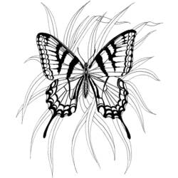 Dessin à colorier: Papillon (Animaux) #15786 - Coloriages à Imprimer Gratuits