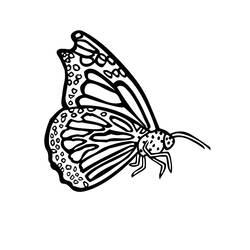 Dessin à colorier: Papillon (Animaux) #15852 - Coloriages à Imprimer Gratuits