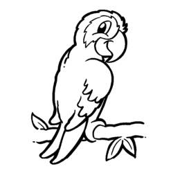 Dessin à colorier: Perroquet (Animaux) #16061 - Coloriages à Imprimer Gratuits