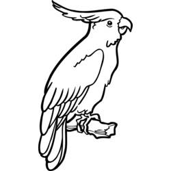 Dessin à colorier: Perroquet (Animaux) #16081 - Coloriages à Imprimer Gratuits