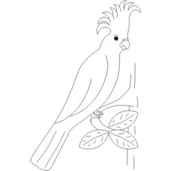 Dessin à colorier: Perroquet (Animaux) #16092 - Coloriages à Imprimer Gratuits