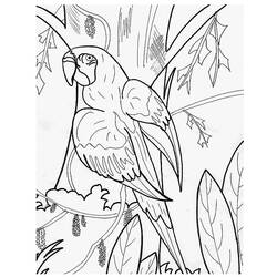Dessin à colorier: Perroquet (Animaux) #16104 - Coloriages à Imprimer Gratuits