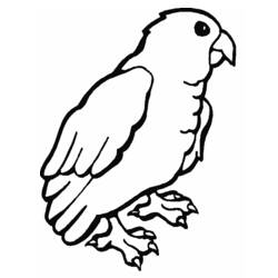 Dessin à colorier: Perroquet (Animaux) #16109 - Coloriages à Imprimer Gratuits