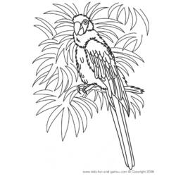 Dessin à colorier: Perroquet (Animaux) #16150 - Coloriages à Imprimer Gratuits