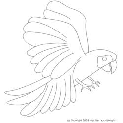 Dessin à colorier: Perroquet (Animaux) #16160 - Coloriages à Imprimer Gratuits