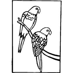 Dessin à colorier: Perroquet (Animaux) #16212 - Coloriages à Imprimer Gratuits