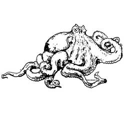 Dessin à colorier: Pieuvre (Animaux) #18940 - Coloriages à Imprimer Gratuits