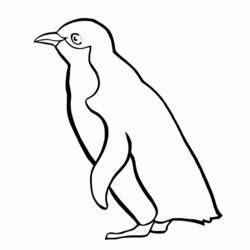 Dessin à colorier: Pingouin (Animaux) #16874 - Coloriages à Imprimer Gratuits