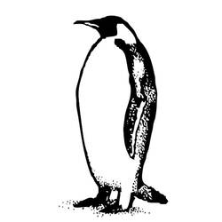 Dessin à colorier: Pingouin (Animaux) #16905 - Coloriages à Imprimer Gratuits