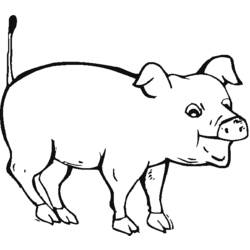Dessin à colorier: Porc (Animaux) #17631 - Coloriages à Imprimer Gratuits