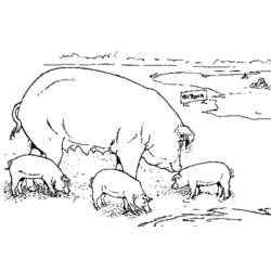 Dessin à colorier: Porc (Animaux) #17681 - Coloriages à Imprimer Gratuits