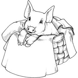Dessin à colorier: Porc (Animaux) #17784 - Coloriages à Imprimer Gratuits