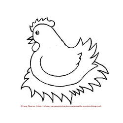 Dessin à colorier: Poule (Animaux) #17498 - Coloriages à Imprimer Gratuits