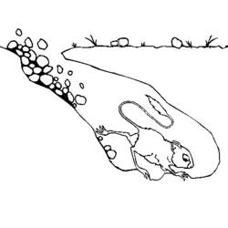 Dessin à colorier: Rat (Animaux) #15178 - Coloriages à Imprimer Gratuits