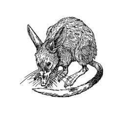 Dessin à colorier: Rat (Animaux) #15182 - Coloriages à Imprimer Gratuits
