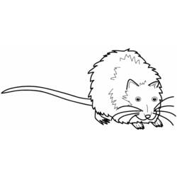 Dessin à colorier: Rat (Animaux) #15183 - Coloriages à Imprimer Gratuits