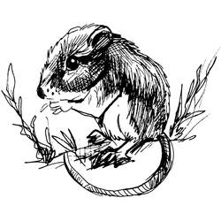 Dessin à colorier: Rat (Animaux) #15190 - Coloriages à Imprimer Gratuits