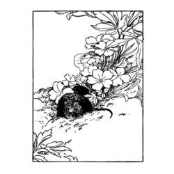 Dessin à colorier: Rat (Animaux) #15195 - Coloriages à Imprimer Gratuits
