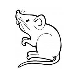 Dessin à colorier: Rat (Animaux) #15219 - Coloriages à Imprimer Gratuits