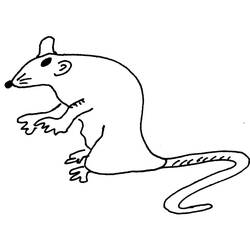 Dessin à colorier: Rat (Animaux) #15242 - Coloriages à Imprimer Gratuits