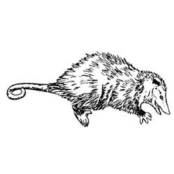 Dessin à colorier: Rat (Animaux) #15254 - Coloriages à Imprimer Gratuits