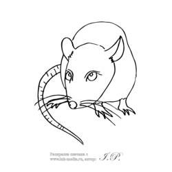Dessin à colorier: Rat (Animaux) #15264 - Coloriages à Imprimer Gratuits