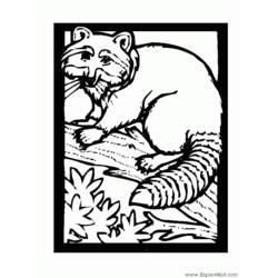 Dessin à colorier: Raton laveur (Animaux) #19994 - Coloriages à Imprimer Gratuits
