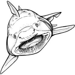 Dessin à colorier: Requin (Animaux) #14762 - Coloriages à Imprimer Gratuits