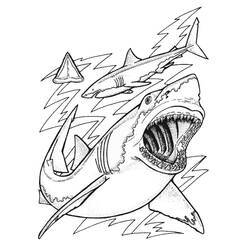 Dessin à colorier: Requin (Animaux) #14769 - Coloriages à Imprimer Gratuits