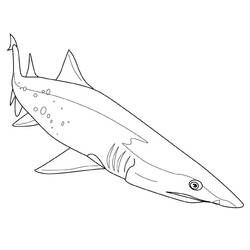 Dessin à colorier: Requin (Animaux) #14771 - Coloriages à Imprimer Gratuits