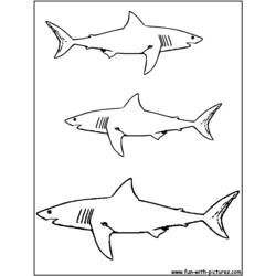 Dessin à colorier: Requin (Animaux) #14776 - Coloriages à Imprimer Gratuits
