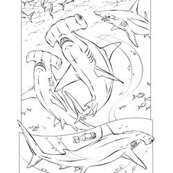 Dessin à colorier: Requin (Animaux) #14784 - Coloriages à Imprimer Gratuits
