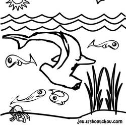 Dessin à colorier: Requin (Animaux) #14788 - Coloriages à Imprimer Gratuits