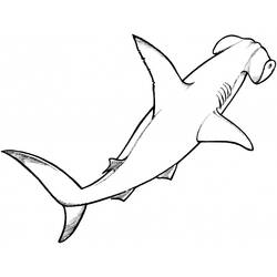 Dessin à colorier: Requin (Animaux) #14798 - Coloriages à Imprimer Gratuits