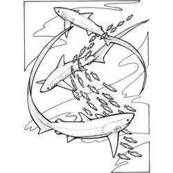 Dessin à colorier: Requin (Animaux) #14801 - Coloriages à Imprimer Gratuits