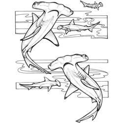 Dessin à colorier: Requin (Animaux) #14805 - Coloriages à Imprimer Gratuits
