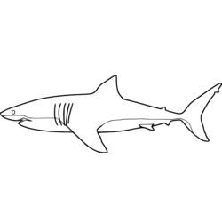 Dessin à colorier: Requin (Animaux) #14809 - Coloriages à Imprimer Gratuits