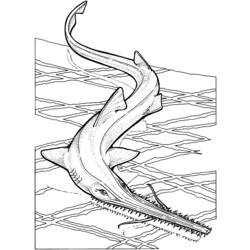 Dessin à colorier: Requin (Animaux) #14819 - Coloriages à Imprimer Gratuits