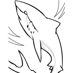 Dessin à colorier: Requin (Animaux) #14822 - Coloriages à Imprimer Gratuits