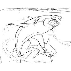 Dessin à colorier: Requin (Animaux) #14827 - Coloriages à Imprimer Gratuits