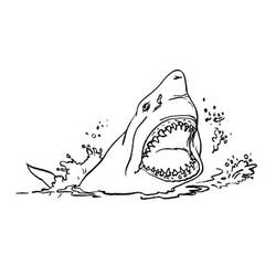 Dessin à colorier: Requin (Animaux) #14835 - Coloriages à Imprimer Gratuits