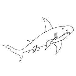 Dessin à colorier: Requin (Animaux) #14851 - Coloriages à Imprimer Gratuits