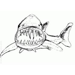 Dessin à colorier: Requin (Animaux) #14857 - Coloriages à Imprimer Gratuits