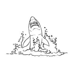 Dessin à colorier: Requin (Animaux) #14867 - Coloriages à Imprimer Gratuits