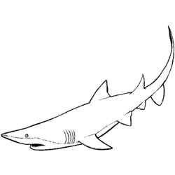 Dessin à colorier: Requin (Animaux) #14871 - Coloriages à Imprimer Gratuits
